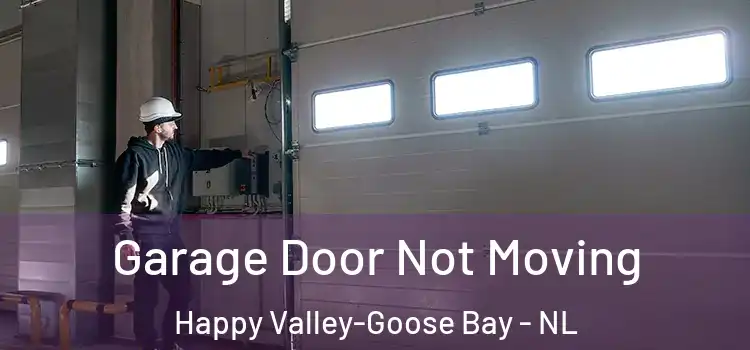  Garage Door Not Moving Happy Valley-Goose Bay - NL