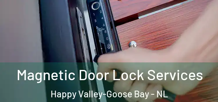 Magnetic Door Lock Services Happy Valley-Goose Bay - NL